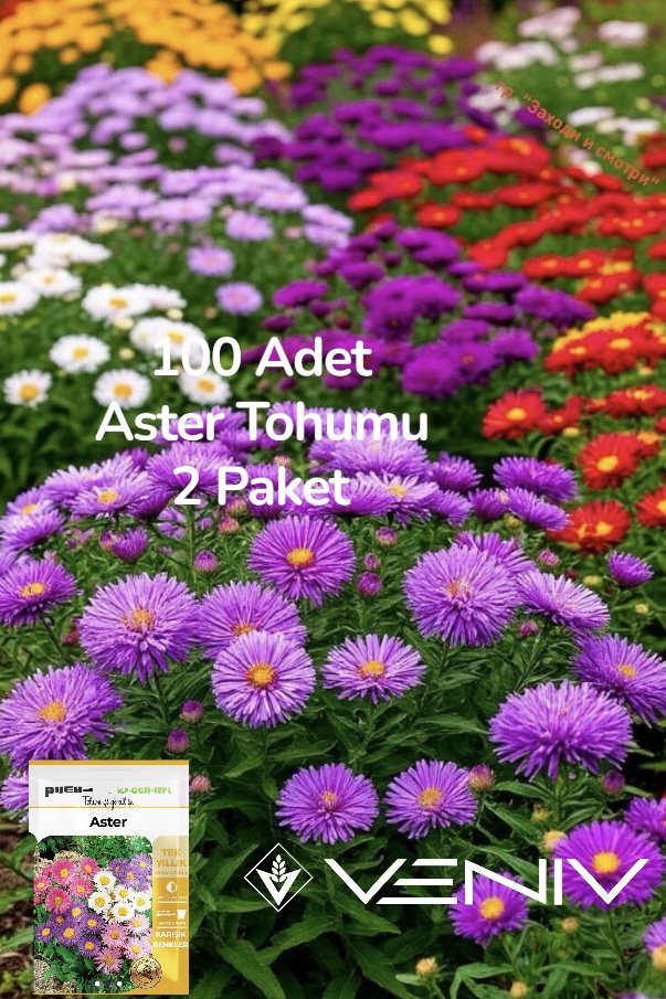 photoroom_20251031_101854